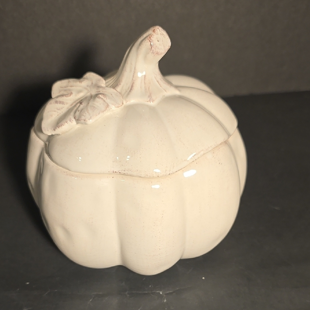Pier 1 Hand Painted Dolomite Ceramic‎ Lidded Distressed White Pumpkin